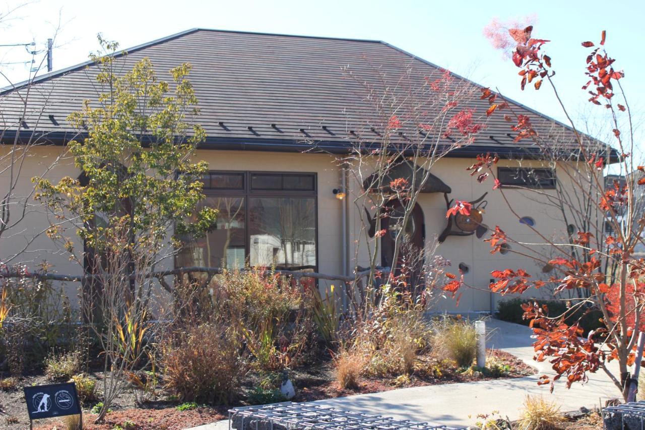 Moonlightvilla 河口湖大橋 Fujikawaguchiko Extérieur photo