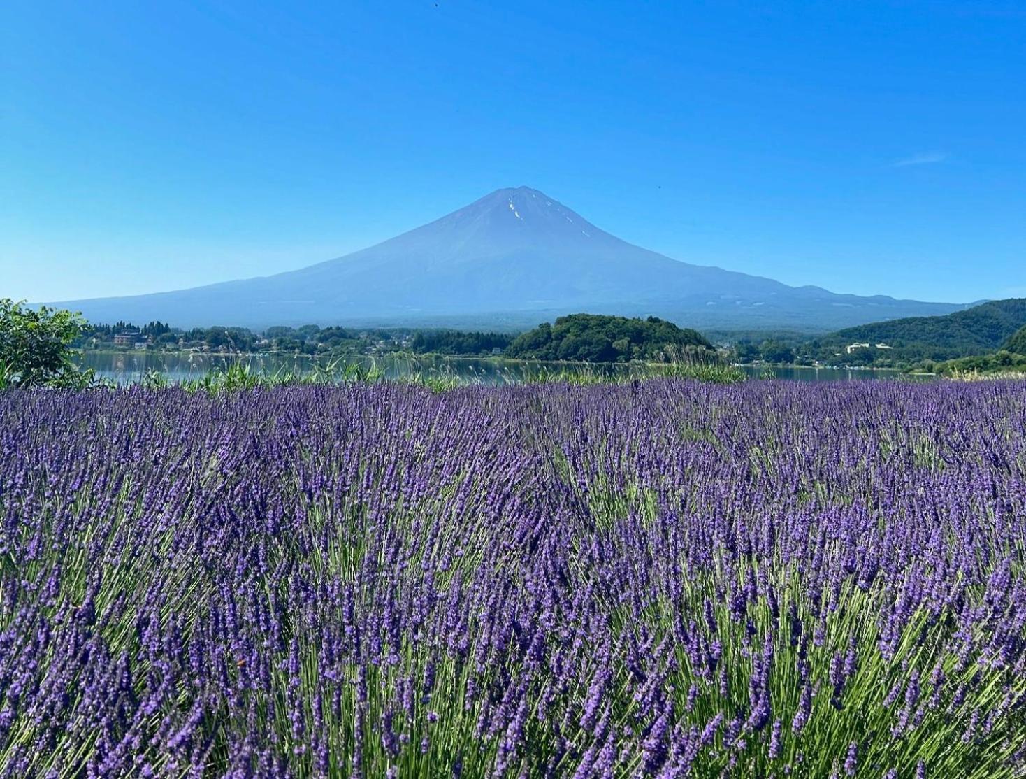 Moonlightvilla 河口湖大橋 Fujikawaguchiko Extérieur photo