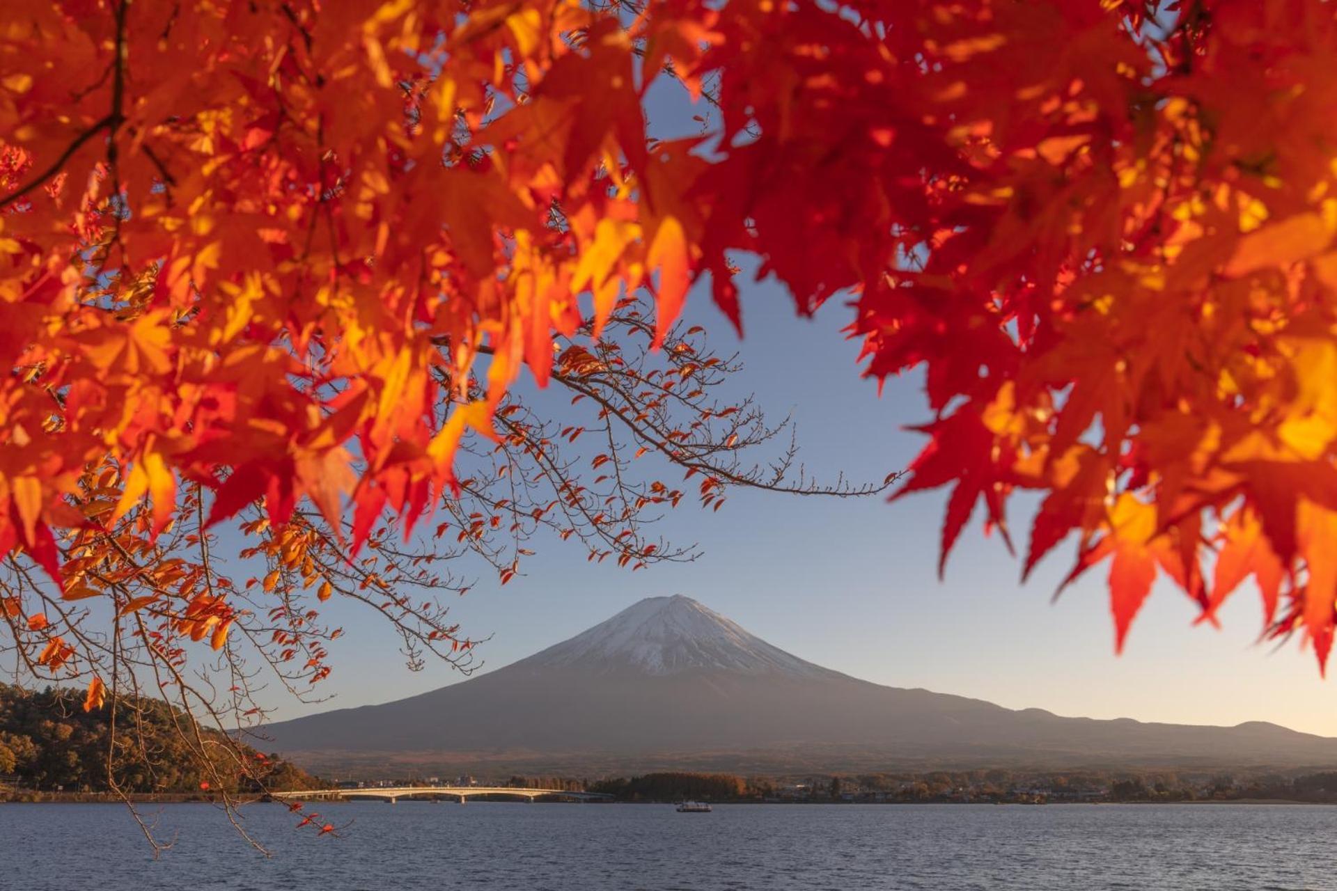 Moonlightvilla 河口湖大橋 Fujikawaguchiko Extérieur photo