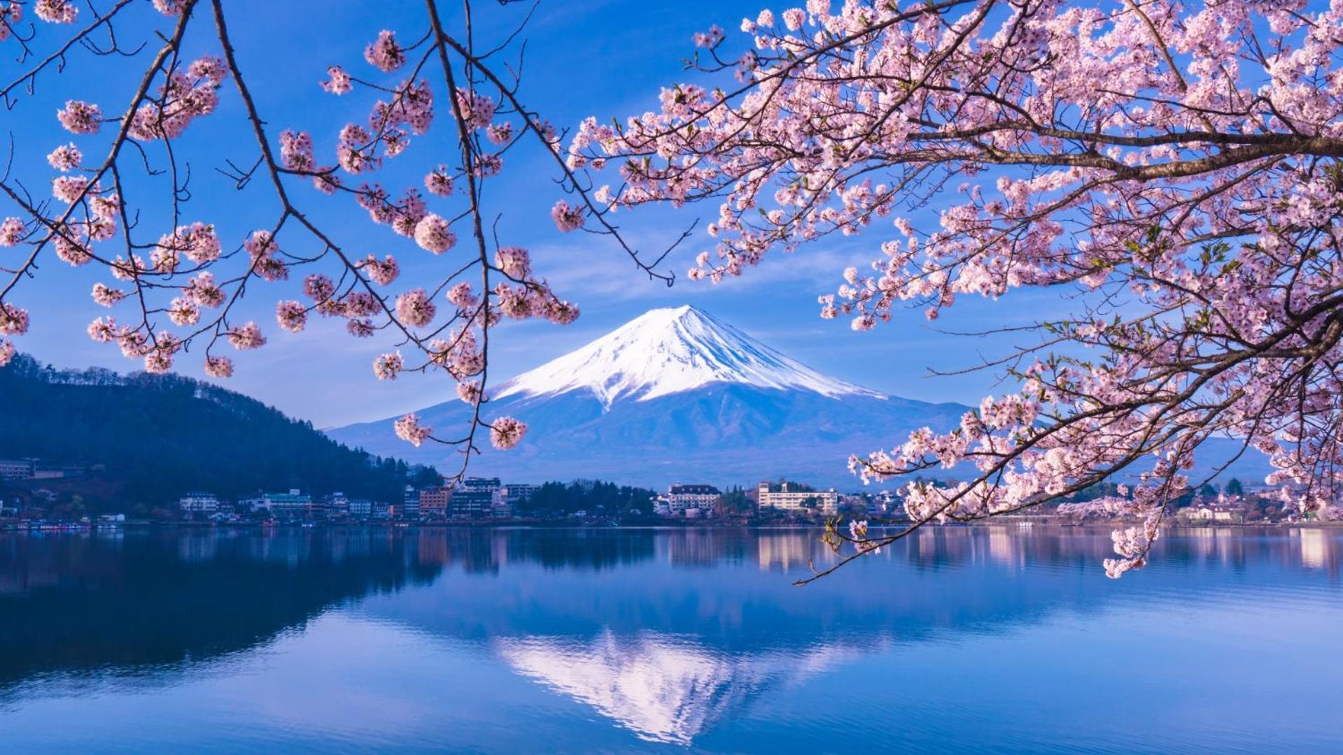 Moonlightvilla 河口湖大橋 Fujikawaguchiko Extérieur photo
